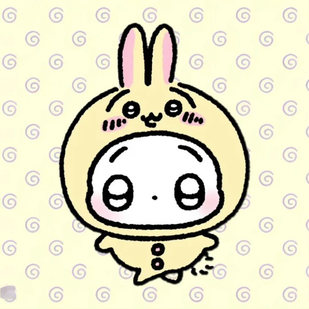 一期可爱小动物头像分享🐰🐻🧈ᜊ°-° 