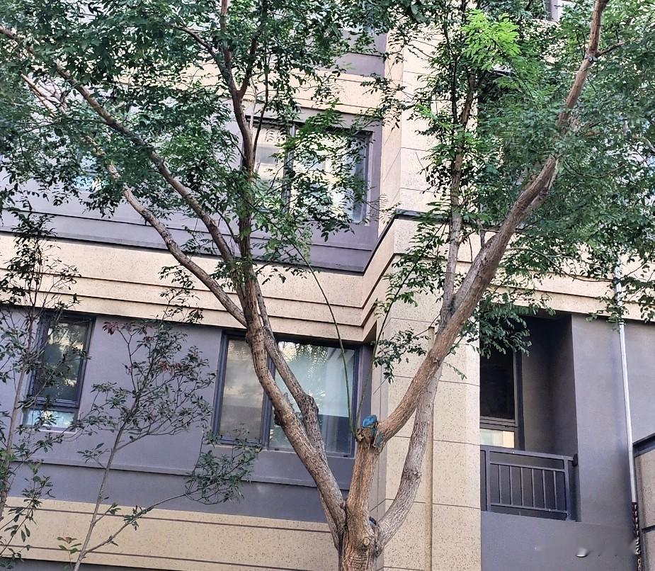经典就是经典，无法超越！
里面的每一个人物都好像从书中走来，每一个动作眼神都符合