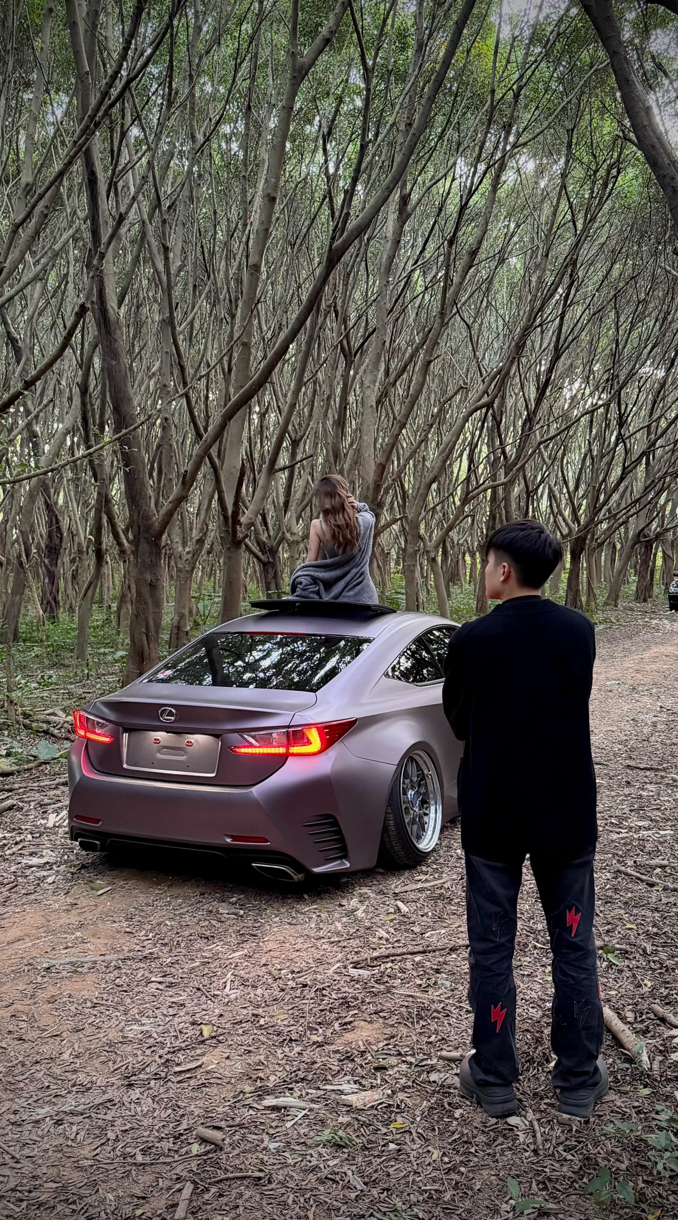 我的爱人和爱车