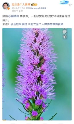 赵立坚艾特鞠婧祎 ​​​赵立坚发鞠婧祎 ​​​赵立坚艾特了小鞠 ​​​