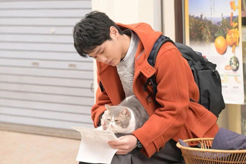 《“铲屎官”也能月入16万？上海小伙靠上门服务逆袭，网友：这行缺人吗？》

上海