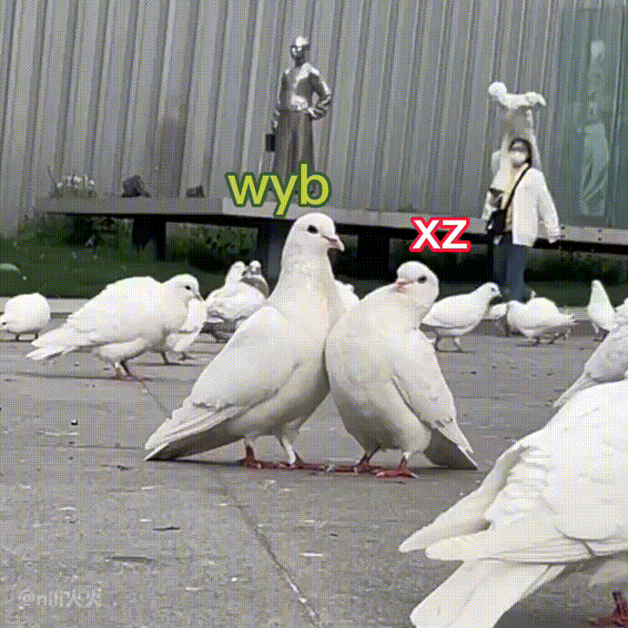 生气脸拒绝亲，身体贴着你王啵: 战鸽，弟弟爱你 