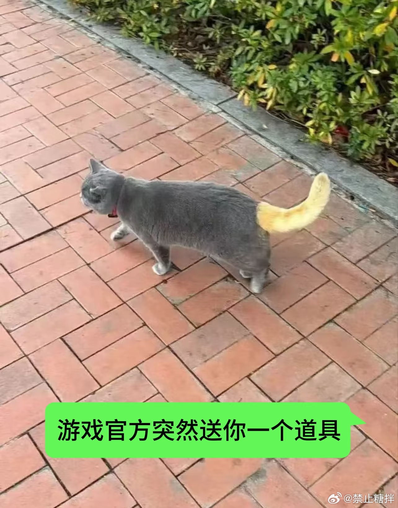 游戏官方突然送你一个道具belike... 