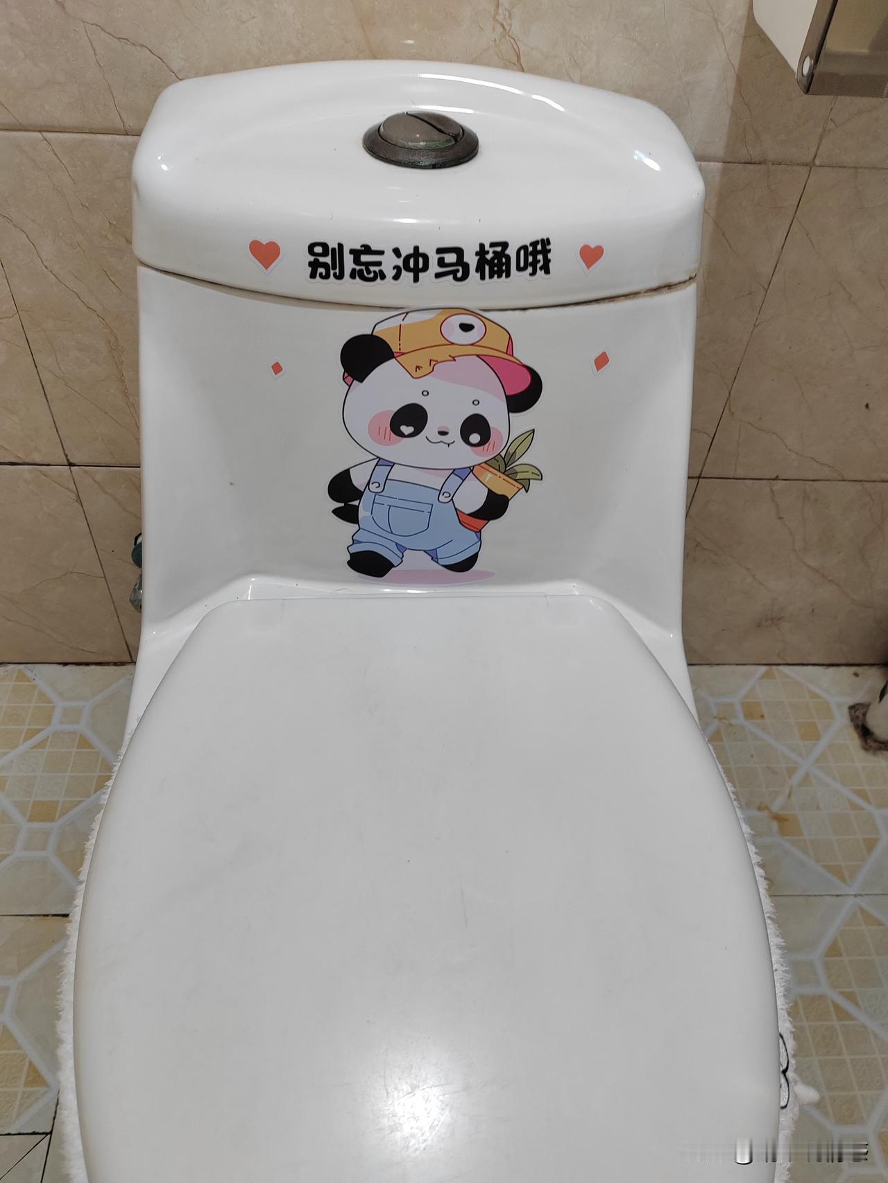 人是需要一些小工具的。

很早之前我看过科普，马桶冲水时其实会有很多细菌喷溅，而