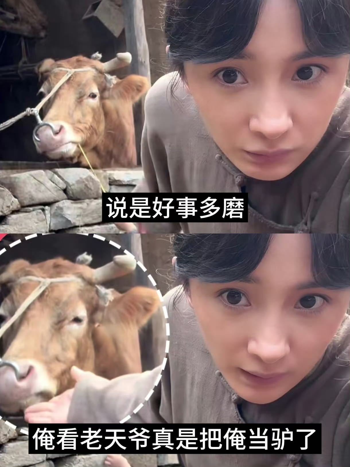 杨幂你的粉丝就这么宣传你你的粉丝就是这么宣传你的！“说是好事多磨，俺看老天爷是真