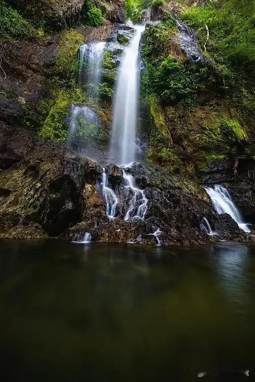 随手拍张照