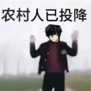 我靠再也不摆烂了 太久没有蹭rs了我的rmt死了 