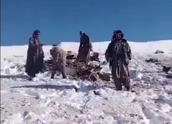 一架美军无人机在阿富汗坠毁，给中方敲响了警钟：有人在秘密投靠白宫？

2026年