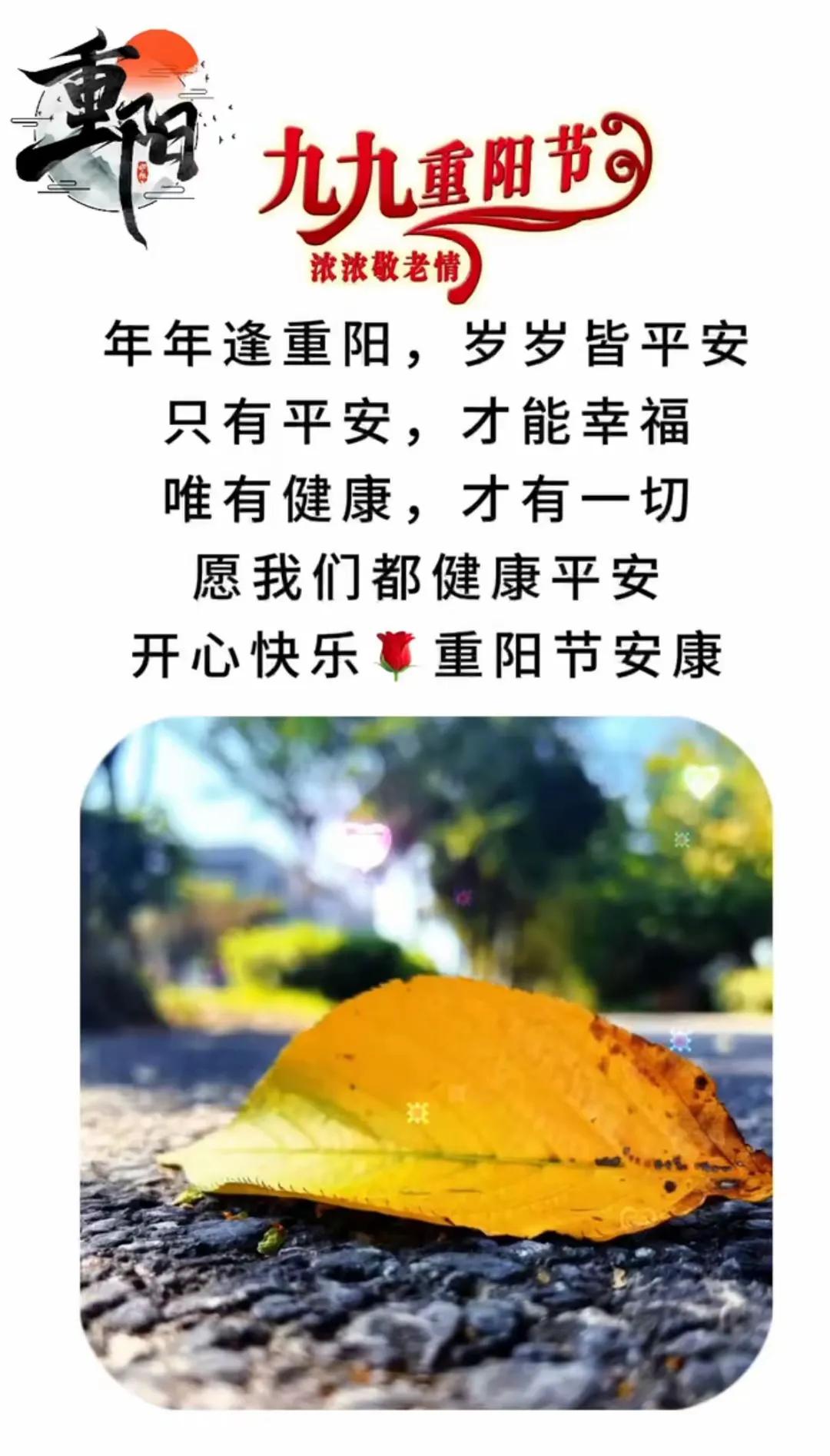 秋风起，秋意浓，九九重阳，登高望远，心潮澎湃。在这个充满思念与敬意的日子里，我抒