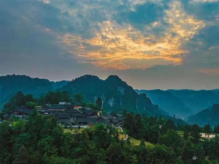 七律.吟甲辰梅花
（2024年11月5日）
清白家法映高空，不染尘埃立众中。
气