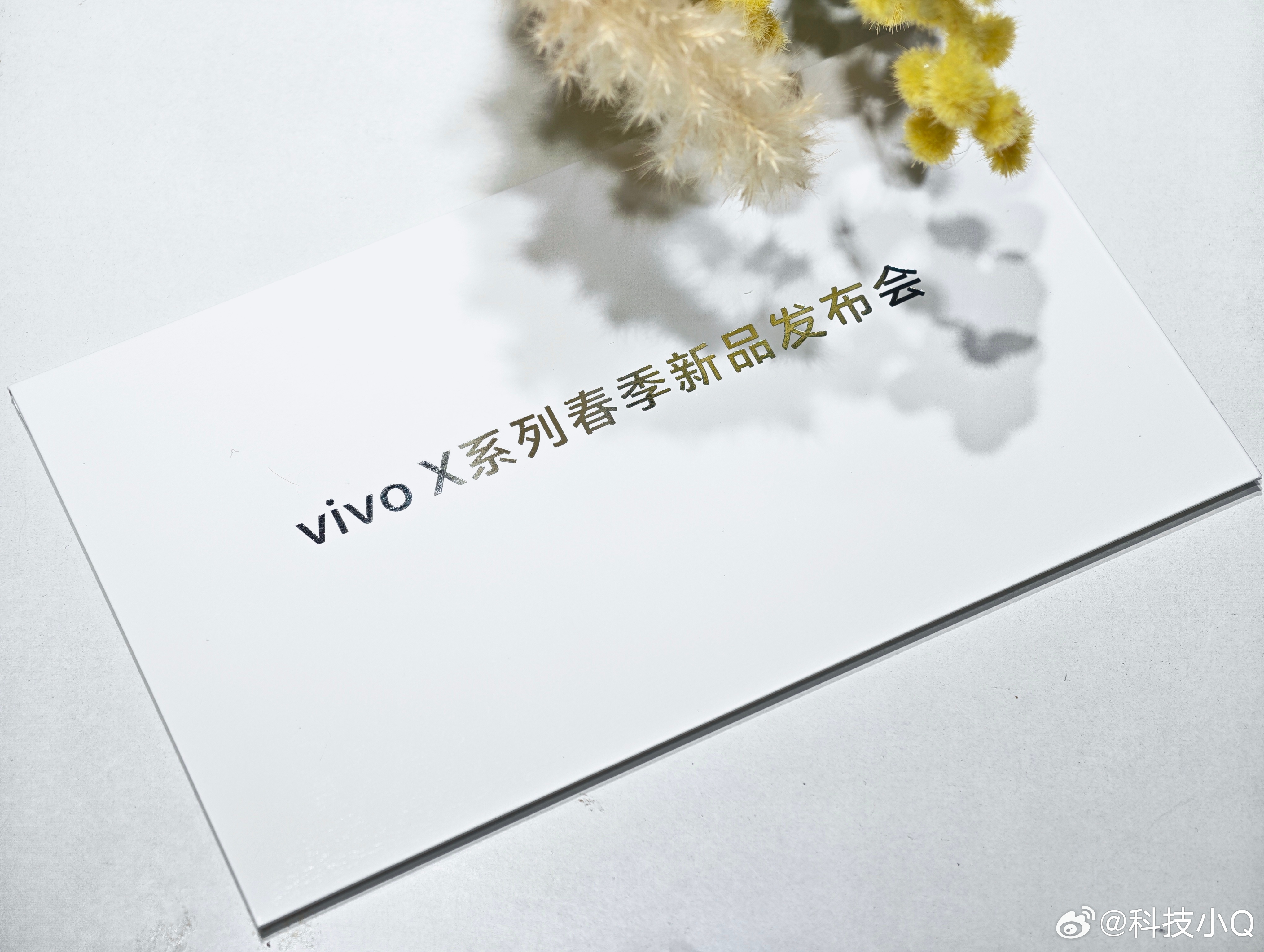 vivo X300s/Ultra一起出发去创作期待一下年度演唱会神器吧 