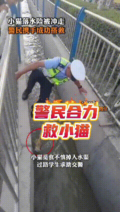 看完这段救援画面，心里满是暖意。
小猫不慎落入水渠之中，水流湍急，随时都有被冲走