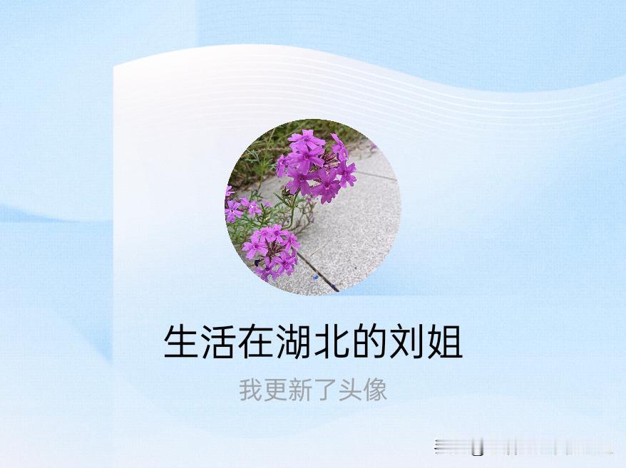 快来看看我新换的头像吧