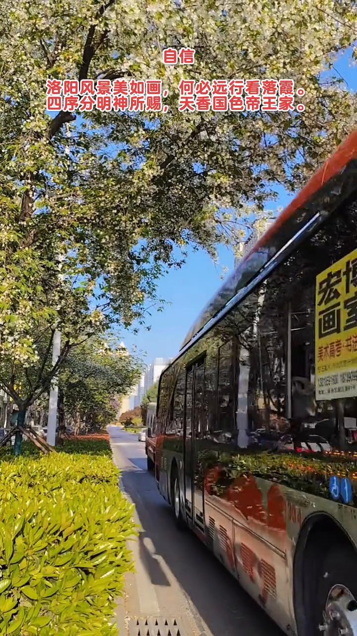 自信。
洛阳风景美如画，何必远行看落霞。四序分明神所赐，天香国色帝王家。