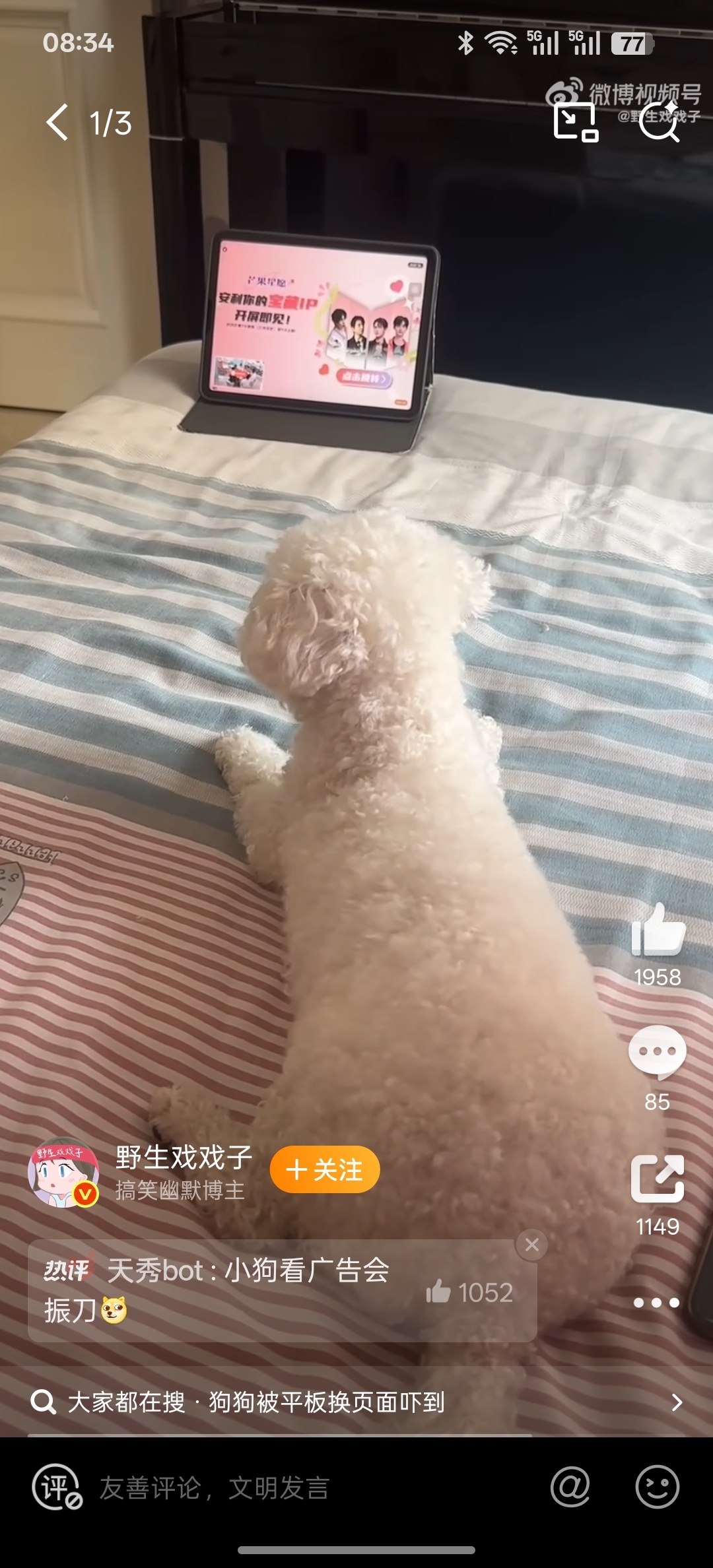 狗狗被平板换页吓得一惊一乍的哇塞，这是哪家的平板这么6[doge] ​​​