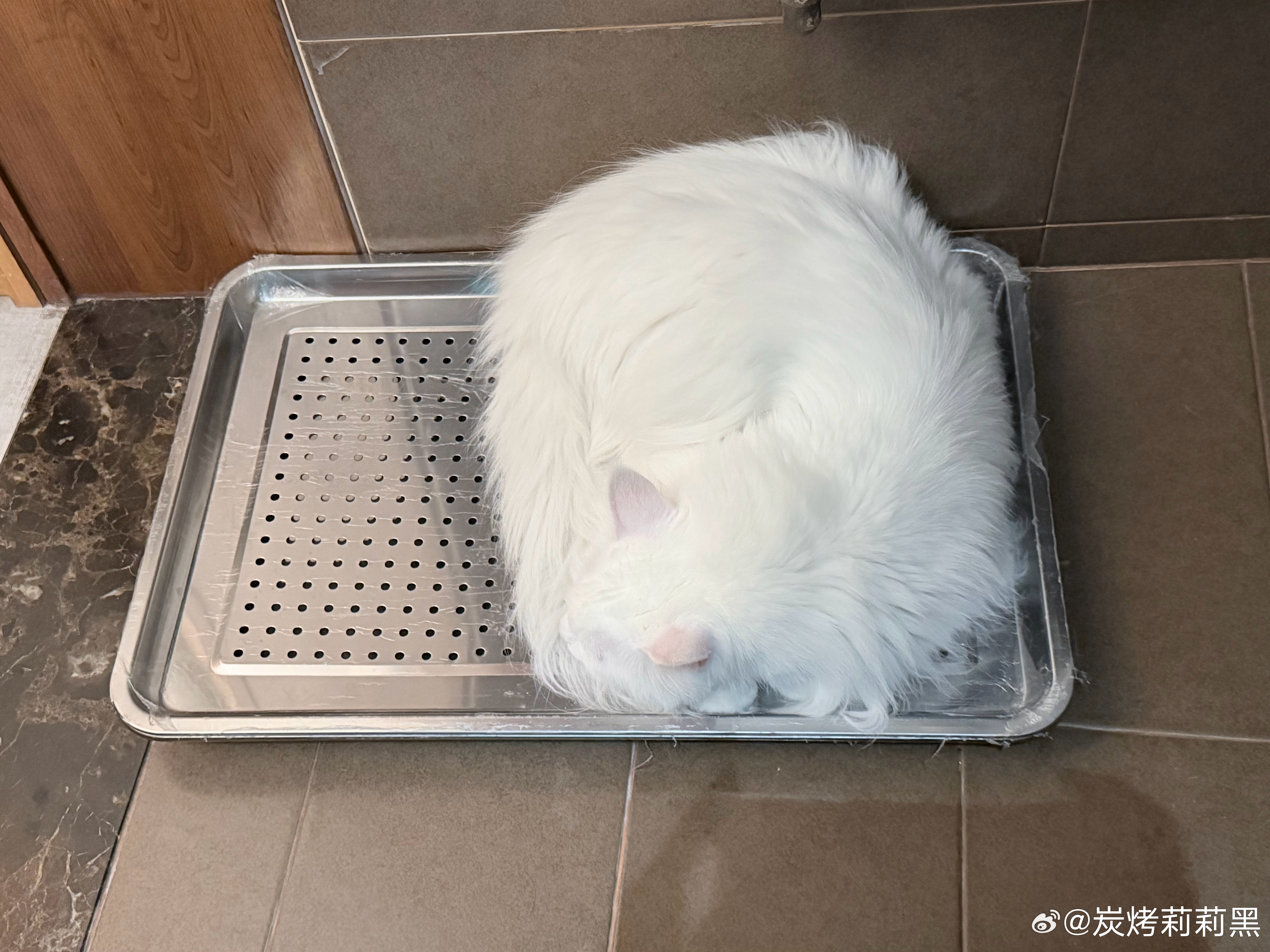 哎哎哎你干嘛，我这不能摸不能摸的，摸了我还怎么卖啊，这我家霉豆腐，你要微辣中辣特