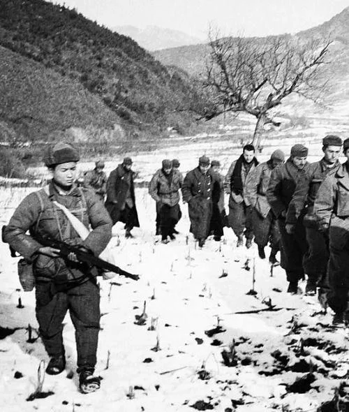 1950年12月，朝鲜鸭绿江战役后，中国志愿军押送美国战俘。