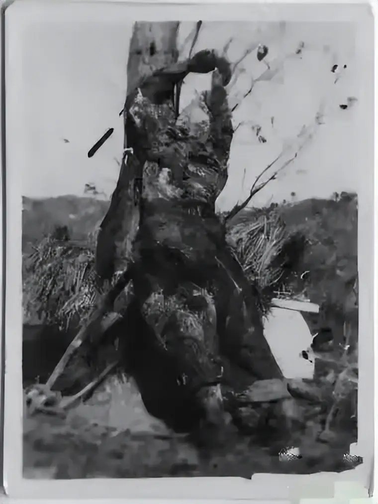 1952年，黄继光牺牲后的罕见遗照，遗体仍然保持着扑向枪口的姿势