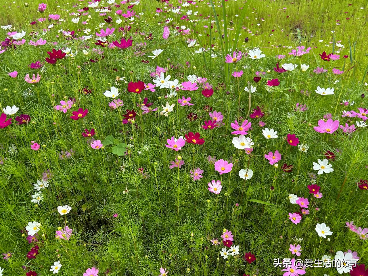 我今年岁数大了，腿脚也不灵便，家住在三楼，以前轻轻松松就能上去，现在爬几层楼就喘