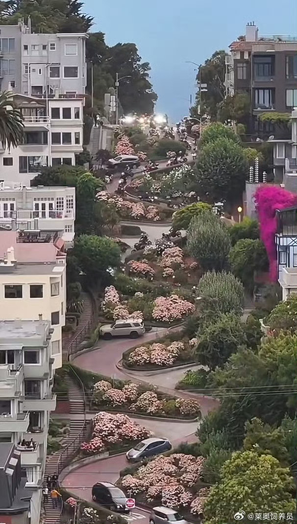 加州一号公路怎么开最解压加州一号公路的自驾路线清晰实用，雷霆山赛道的大车漂移看得
