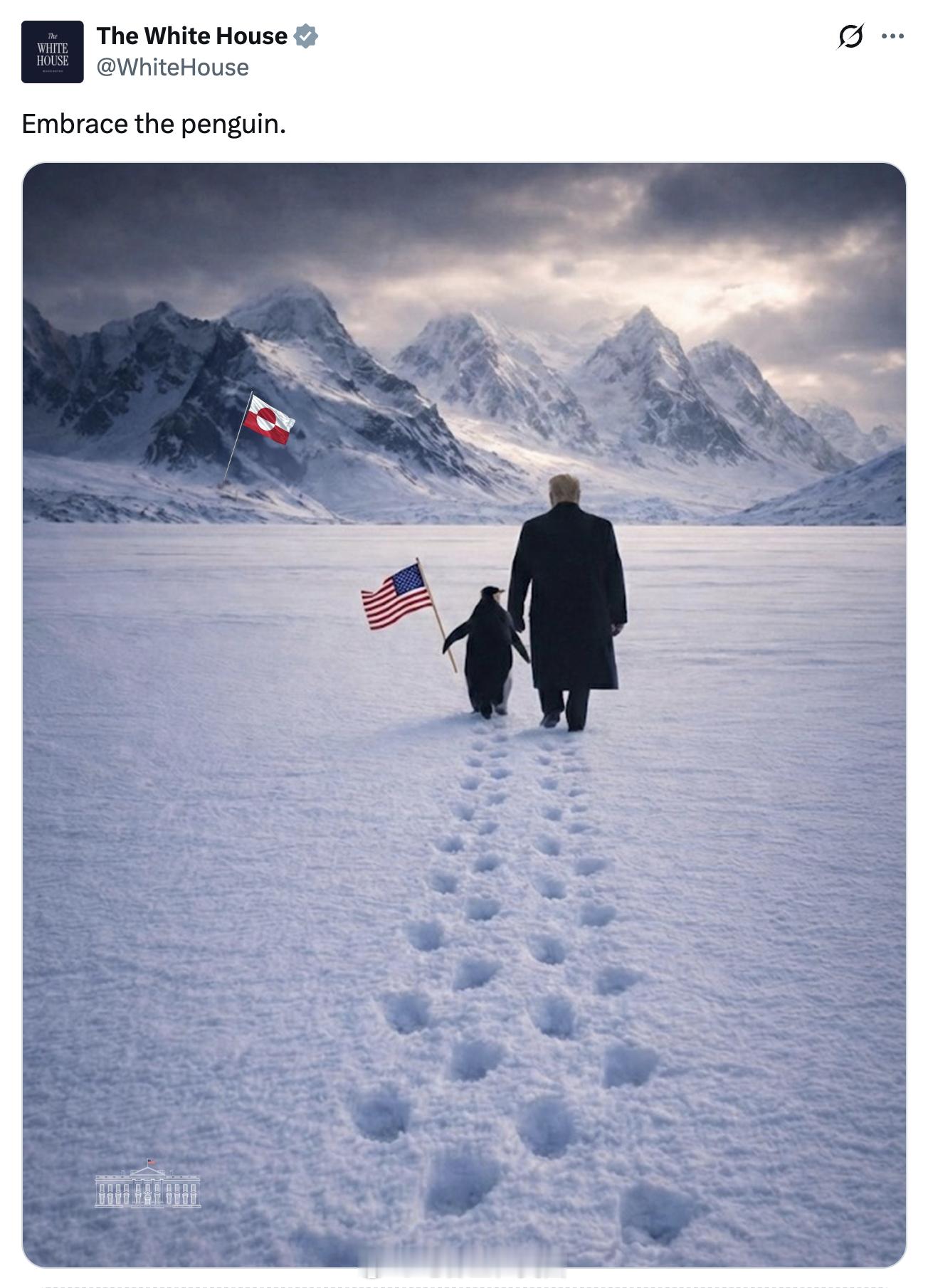 白宫暗指格陵兰，官宣海报：拥抱企鹅。北极没有企鹅，企鹅大多数生活在南极及周边的岛
