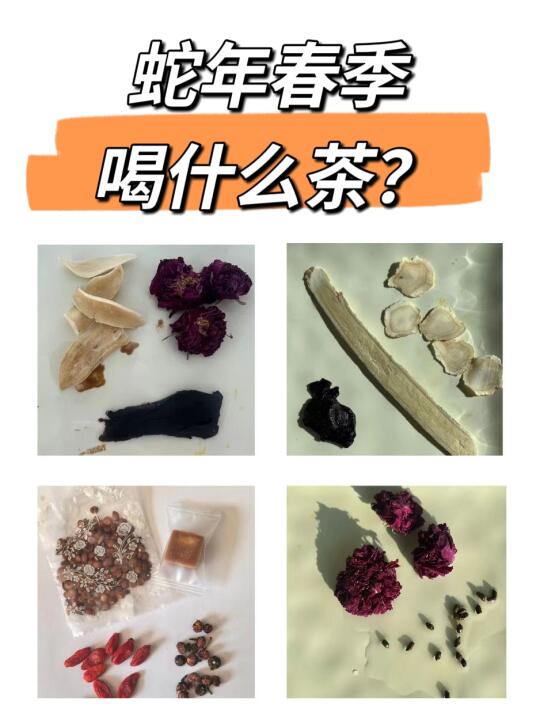蛇年雨水，“四春茶”汇总！