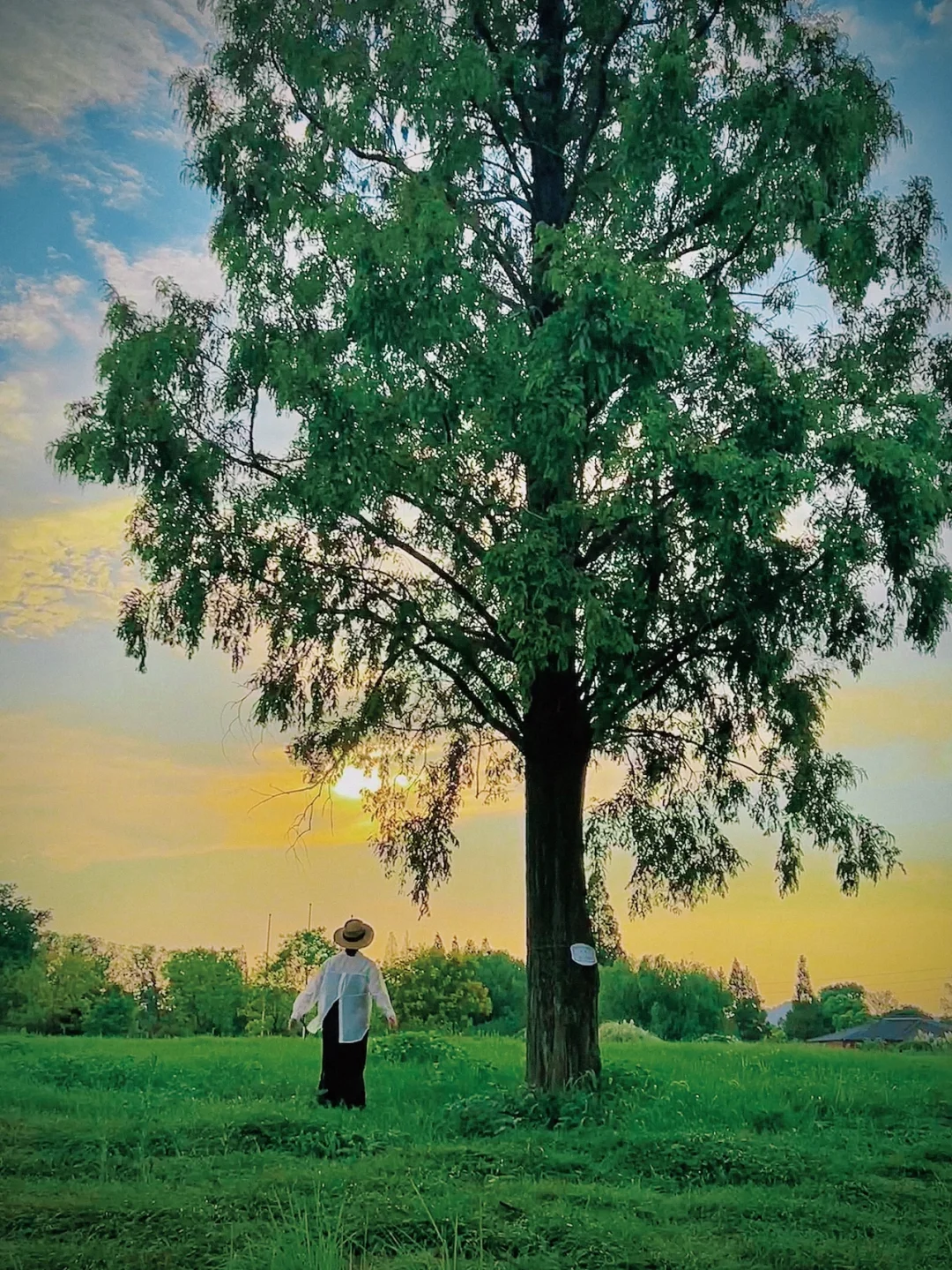 趁着秋天去野餐🧺杭州9⃣️个宝藏野餐地推荐