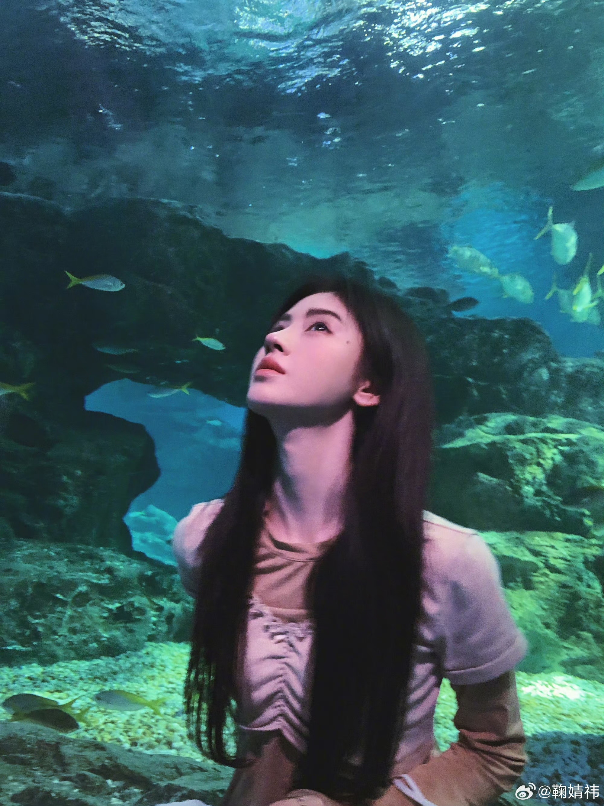 丝芭回应与鞠婧祎和解传闻 丝芭传媒的声明一出，算是给和解传闻画上了句号。看来之前