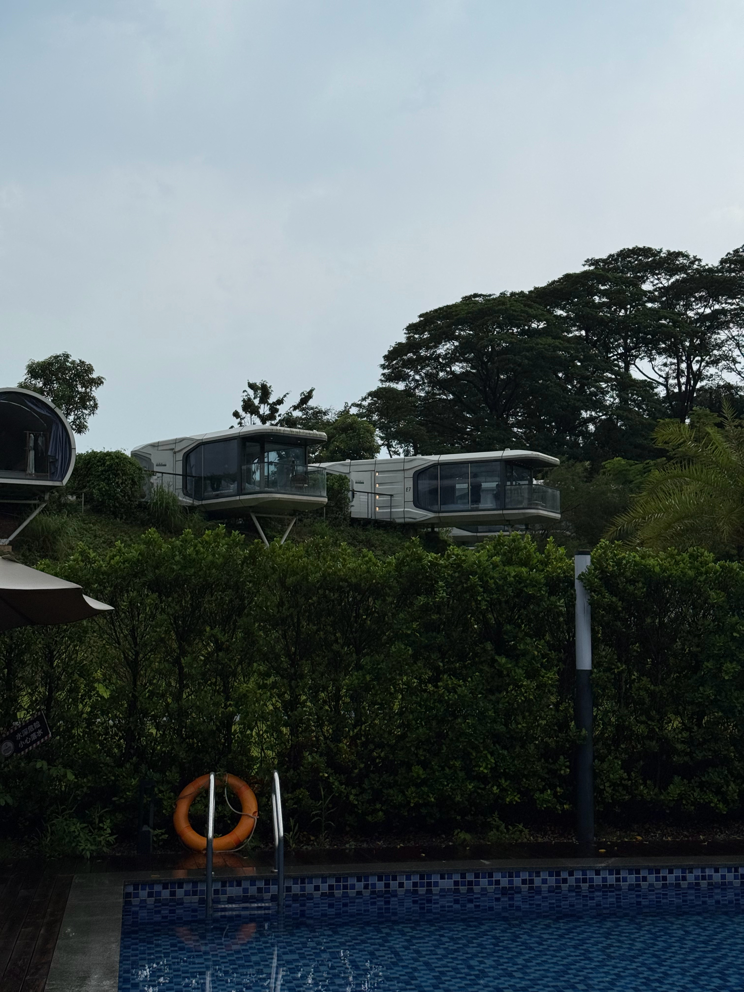 中山这个营地挺有意思 现场直播了[二哈]  ​​​