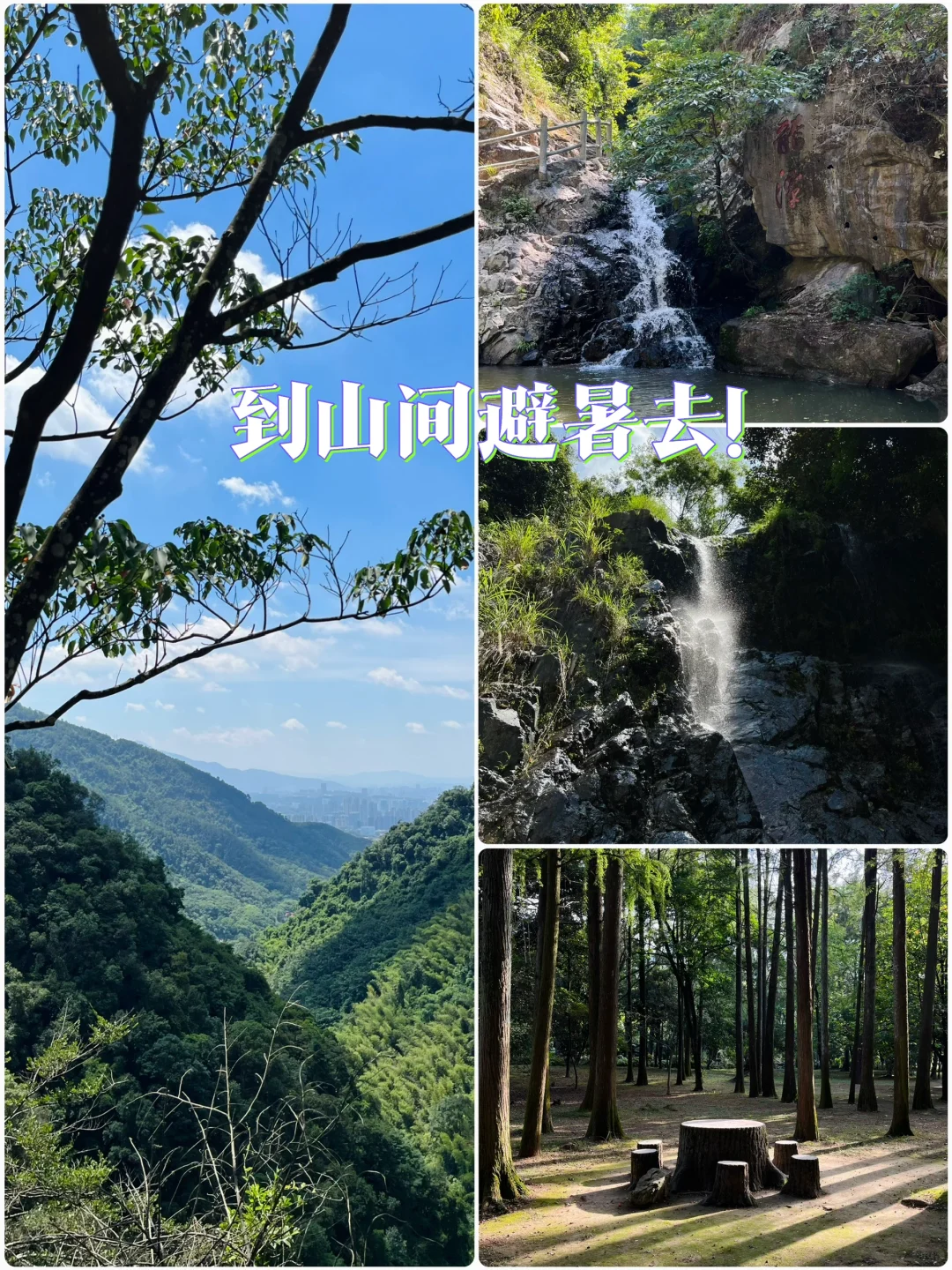 40度高温 你选择空调房还是到山间避暑