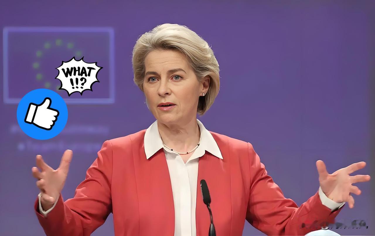 快报！快报！
稀土反制见真章！
放狠话的不是荷兰，ASML库存只够撑8周，这局谁