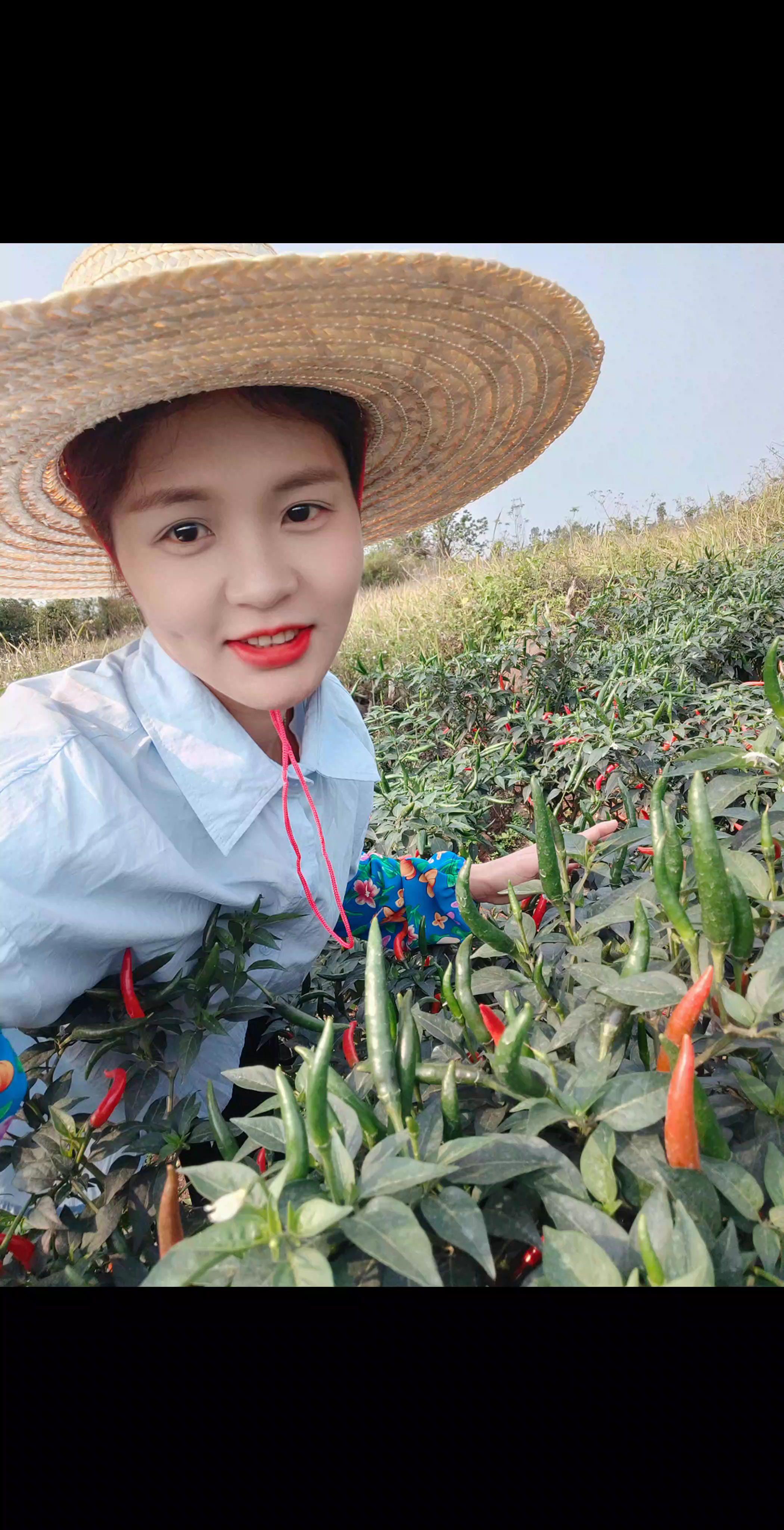 辣椒🌶️继续保持价格上去💪🏻