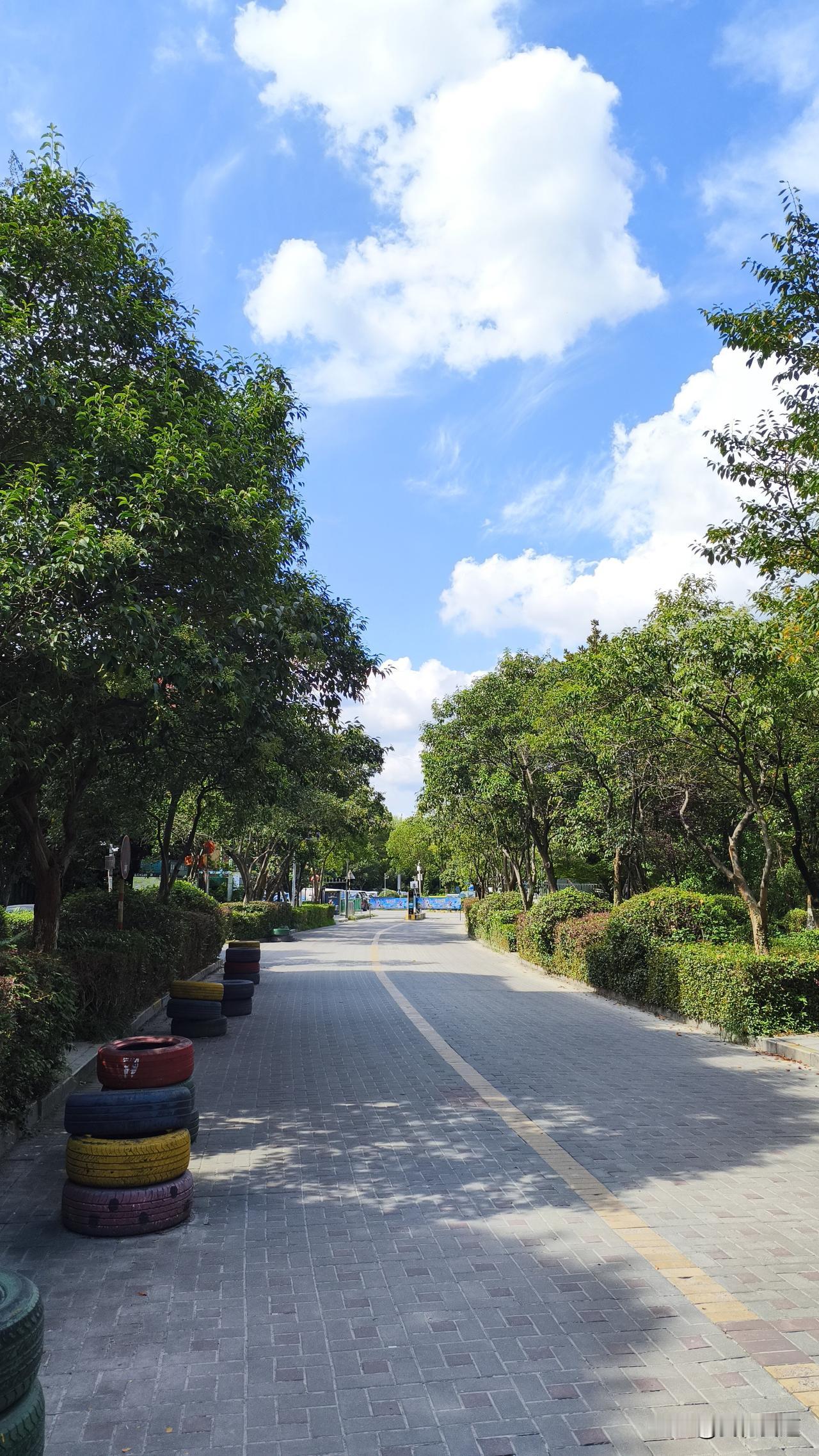 南京这天气真是绝了，妥妥“隐形高温”的受害者。今天才32度，可体感温度绝对超35