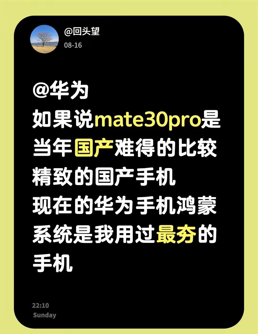 @华为如果说mate30pro是当年国产难得的比较精致的国产手机现在的华为手机鸿