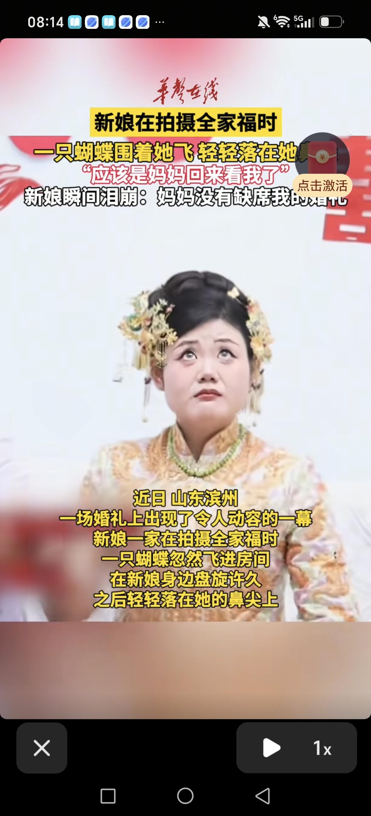 有没有被一场婚礼暖到？
在滨州一场普通的婚礼上，一只蝴蝶落到新娘鼻子尖上久久不肯