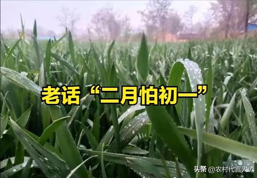 老话“二月怕初一”，今日二月初一，有何好怕的？别忘告诉家人！
 
“二月怕初一，