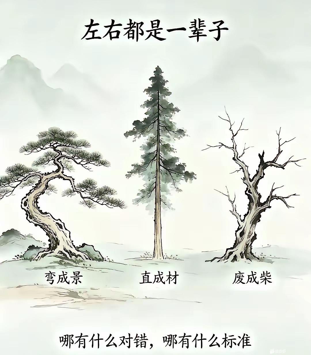 想起庄子了
无用之用…