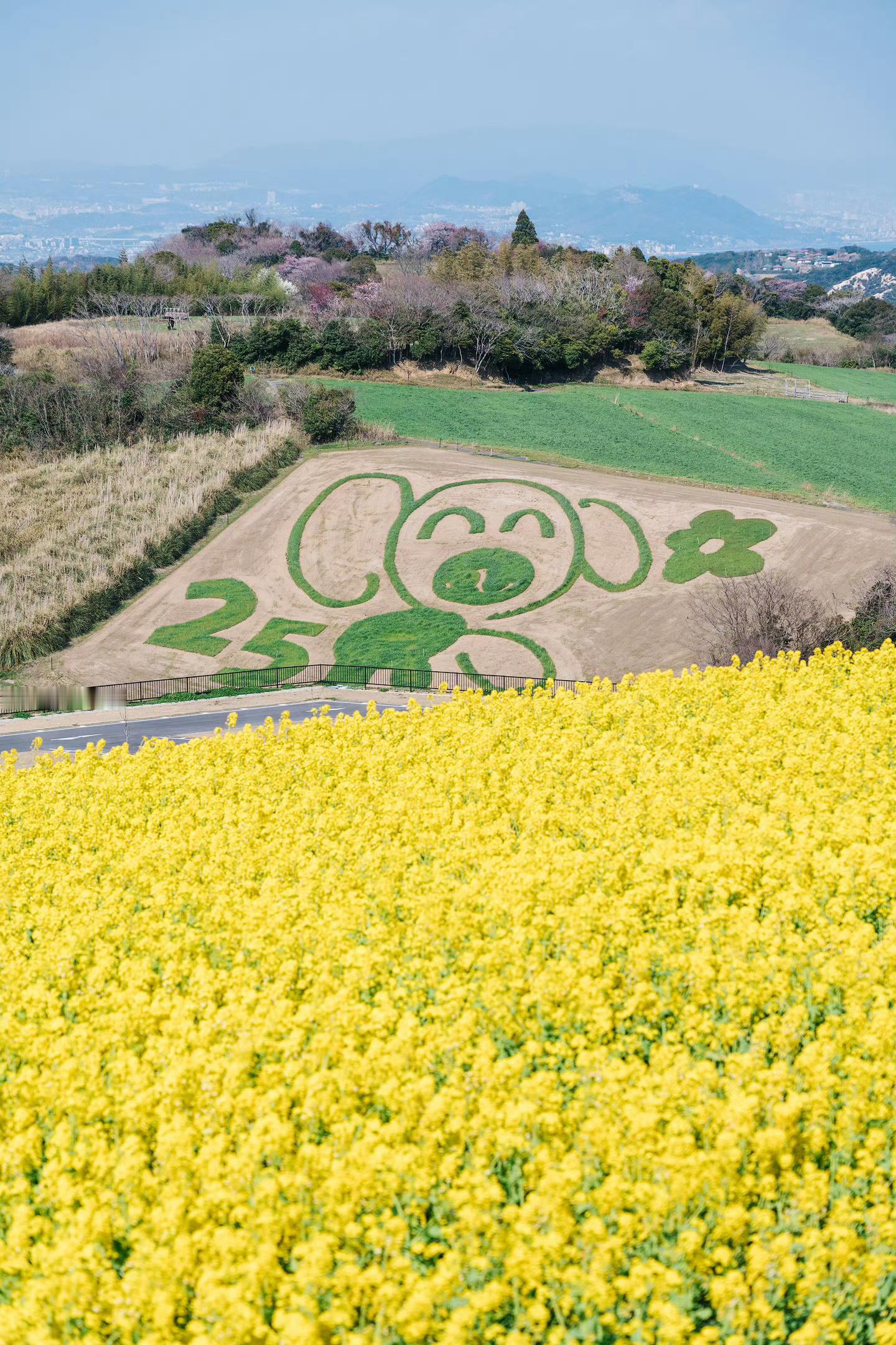 日本旅行淡路岛神户旅行日本人的嘴真严啊！淡路岛这个宝藏小岛真的藏不住了！神户三宫