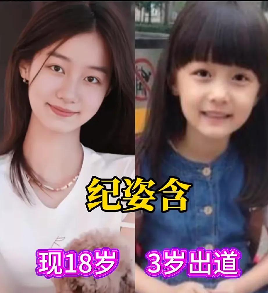 从小美到大的明星
《甄嬛传》中的温宜公主，纪姿含，3岁时出演该剧，现已14岁，素