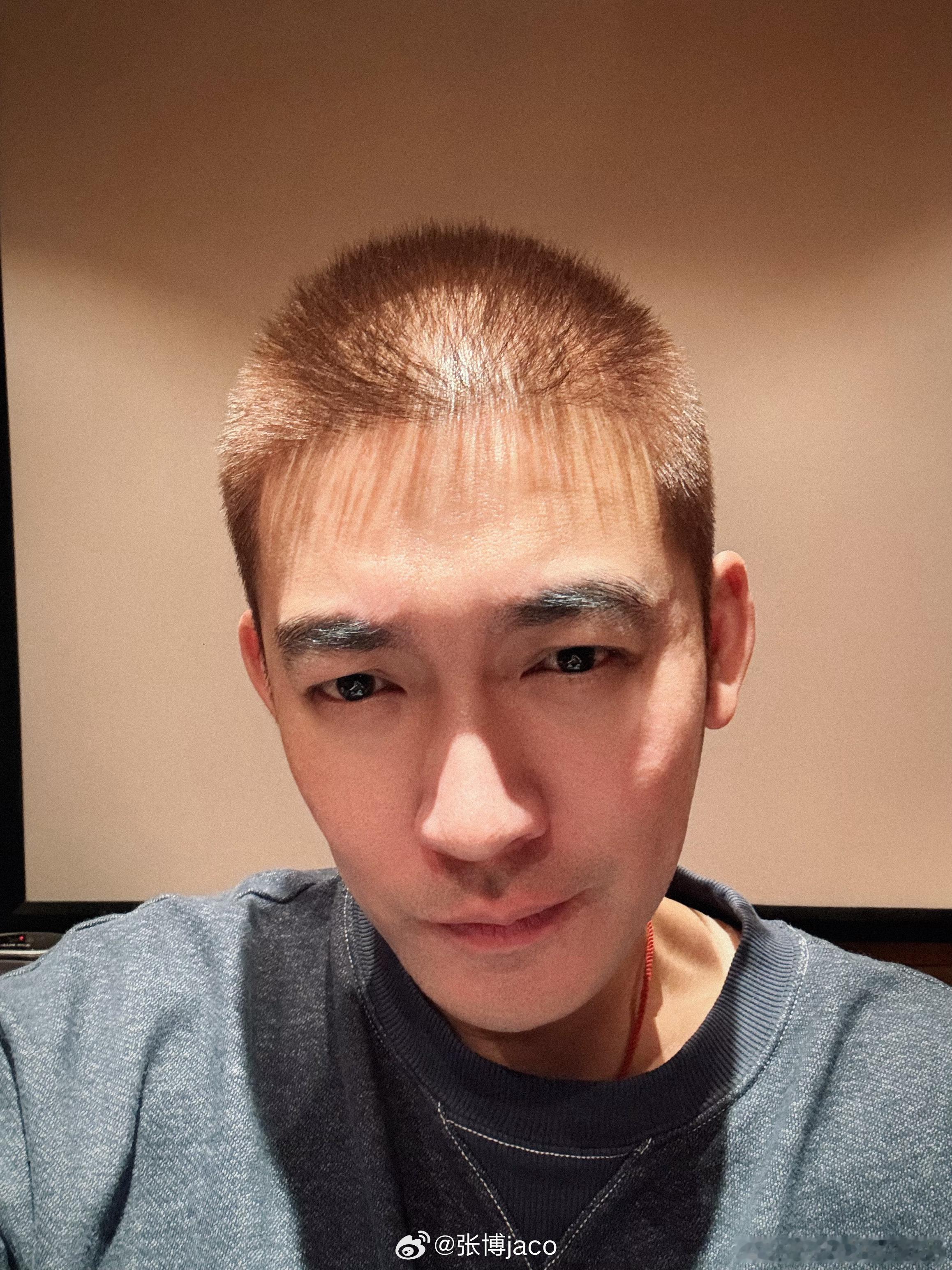 这到底是啥个造型，像刚从清朝剪了辫子然后路过抓了个刺猬植发到秃瓢上🦔 