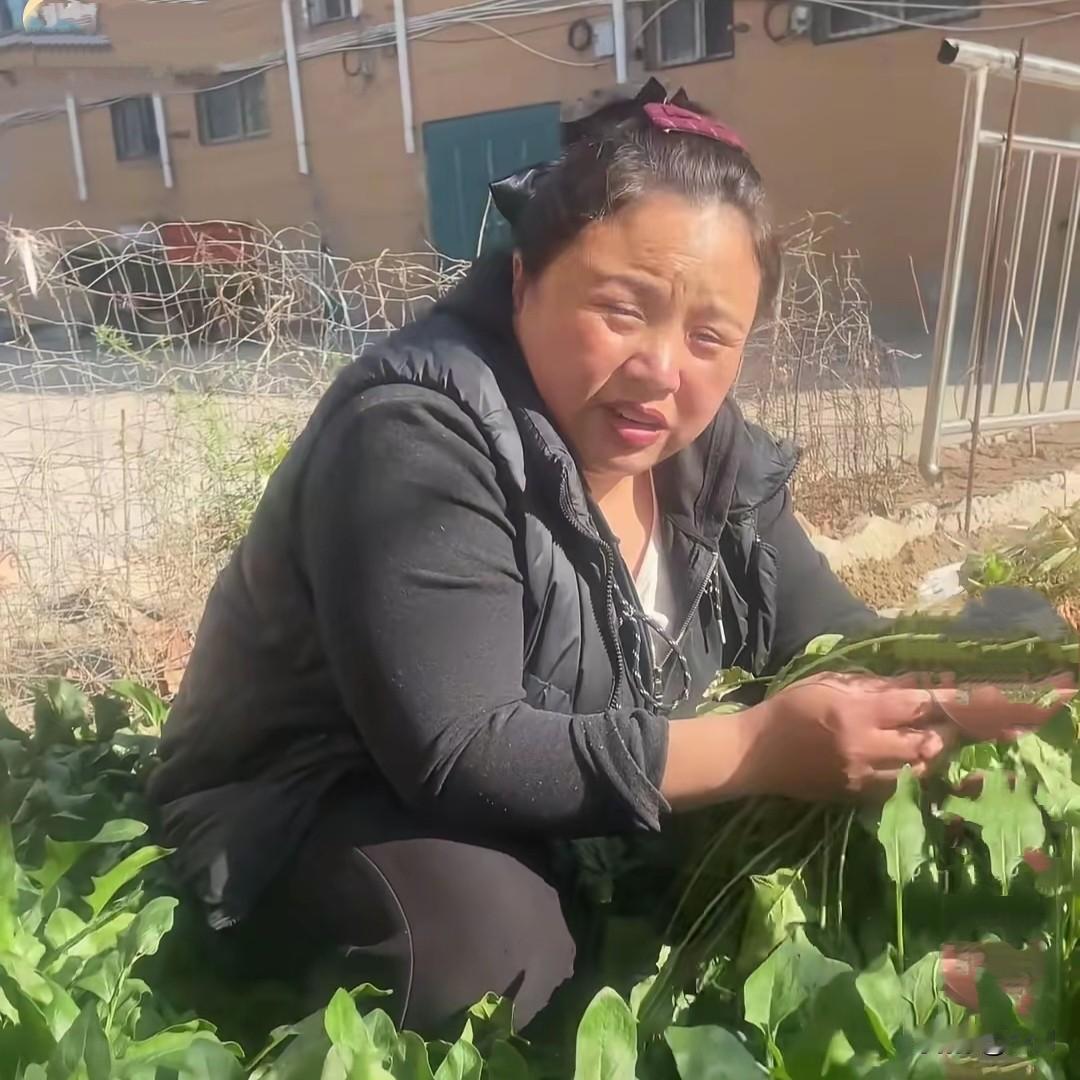 天呐！丹丹怎么这么苍老？

才二十多岁的年纪，看上去就好似五六十岁的农村老妈子。