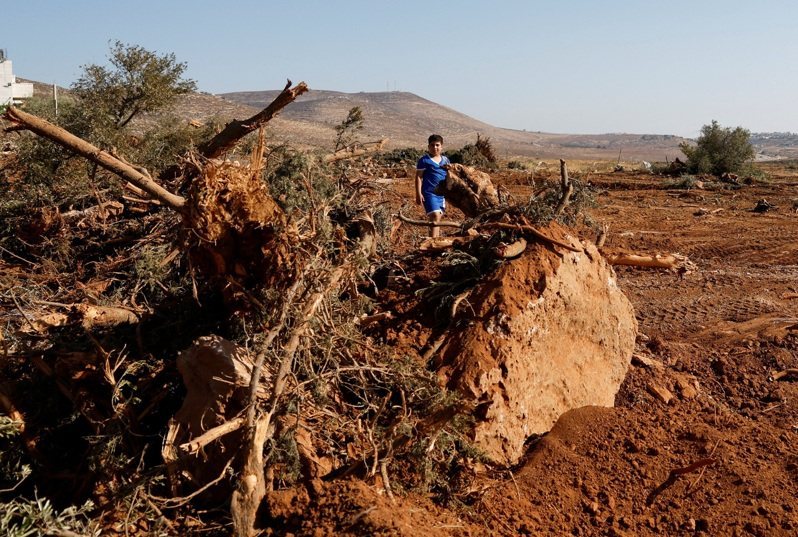 以军近日宣称在加沙地带南部打死一名越线靠近的武装人员。同一天，约旦河西岸地区发生