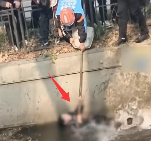 看了安徽10岁落水被众人救起 的画面
我默默做了几个决定

以后不给孩子报什么课