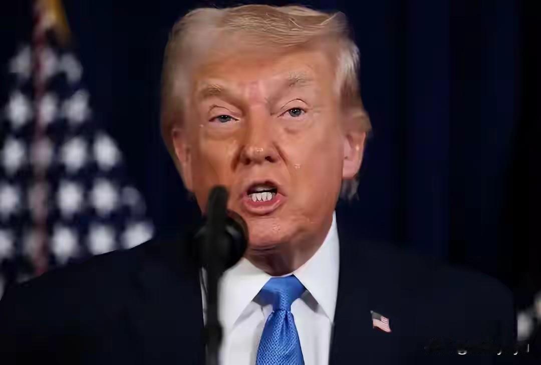 特朗普刚骂完北约是“纸老虎”，海峡那边立马就变卦了——油我给你通，船你们自己运。