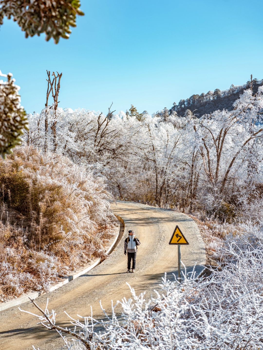 不是北欧 是成都周边|雾凇 滑雪 雪山㊙️攻略