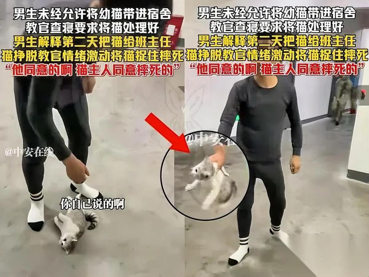 教官摔猫有隐情？

学生举着手机激将：你摔啊

学校明令禁养宠物，教官批评带猫学