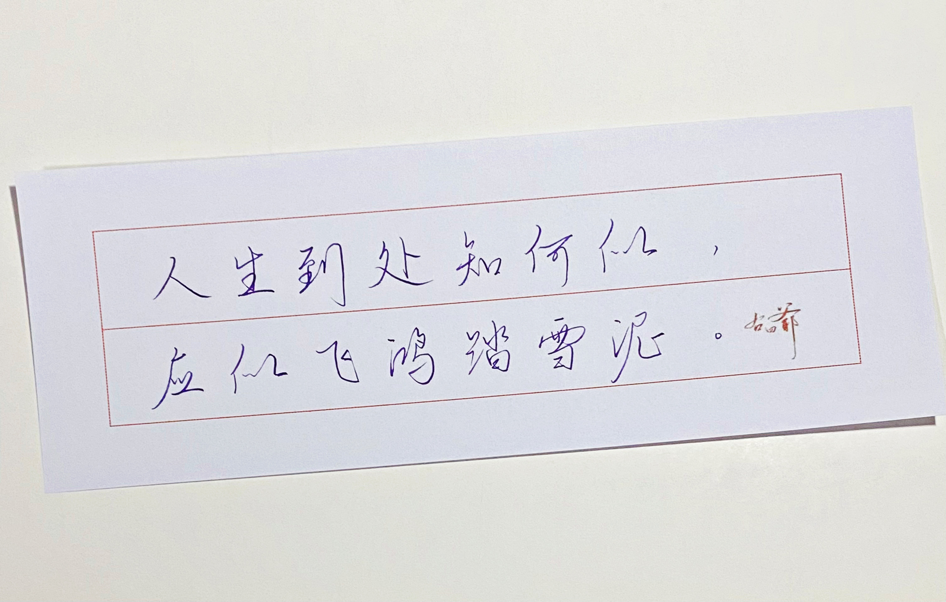 练字  应似飞鸿踏雪泥 