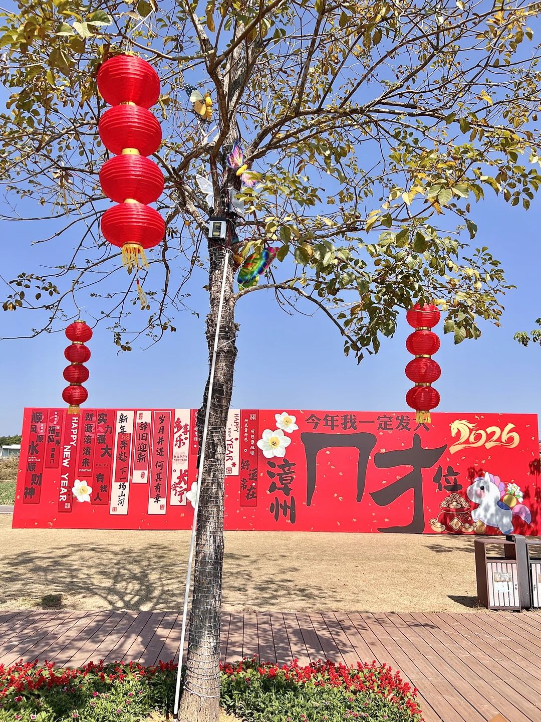 漳州新年必去打卡地！！！