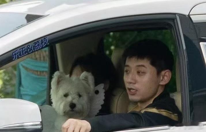 张继科 张蕊看多了“冠军配顶流”的剧本，张继科和张蕊这一对反而有点特别。没有高调