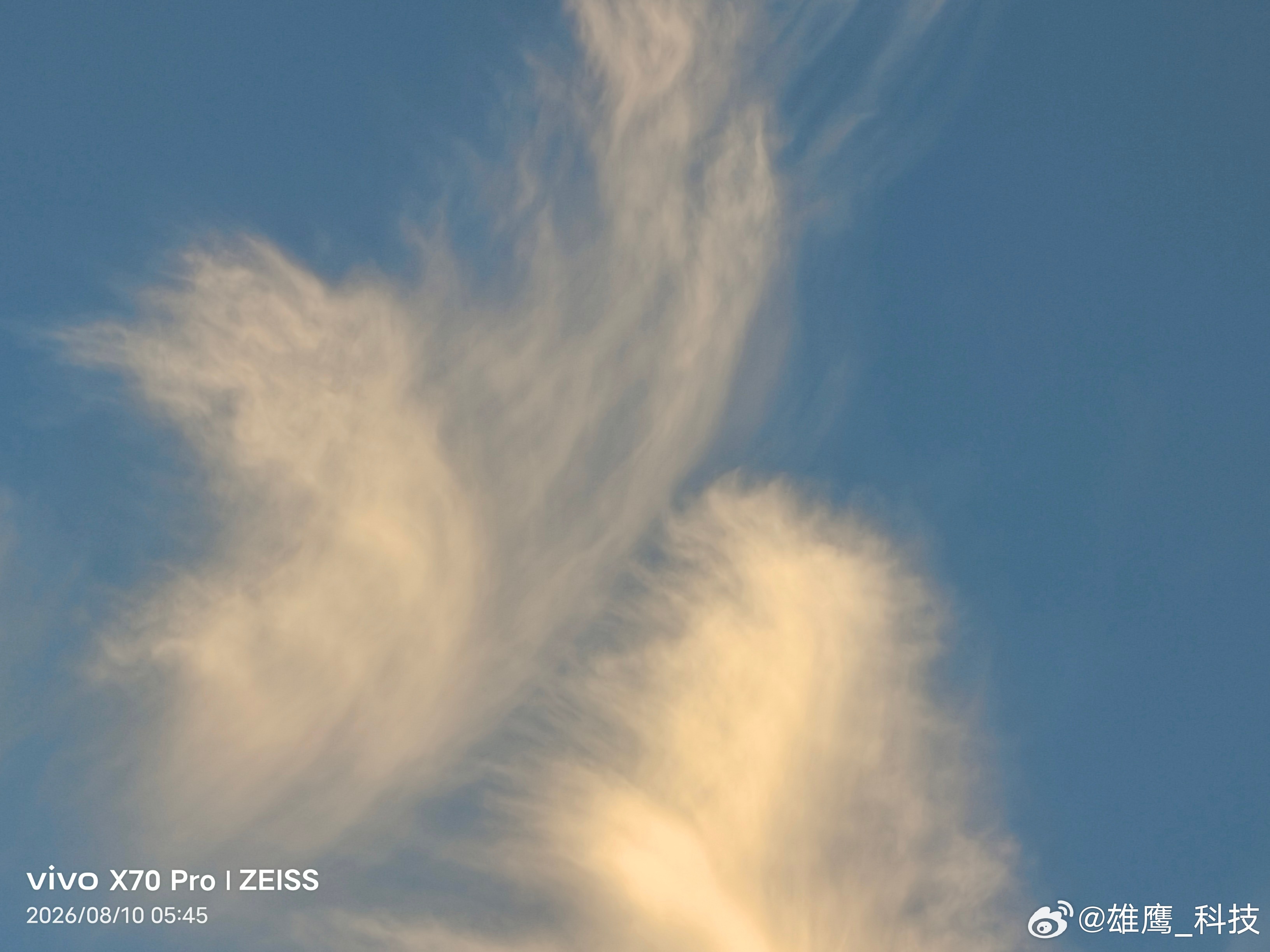 vivo 真所谓秋高气爽，清晨的天气现在凉爽了很多。记录生活手机随手拍秋高气爽